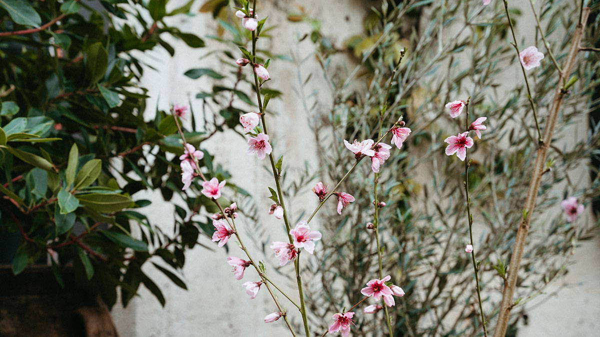 April at Rolling Greens Rolling Greens