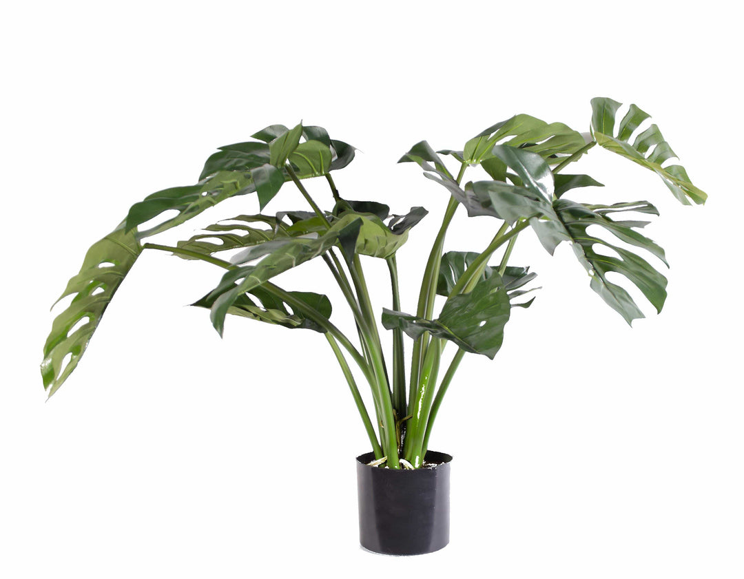 Split Leaf Monstera (Faux)
