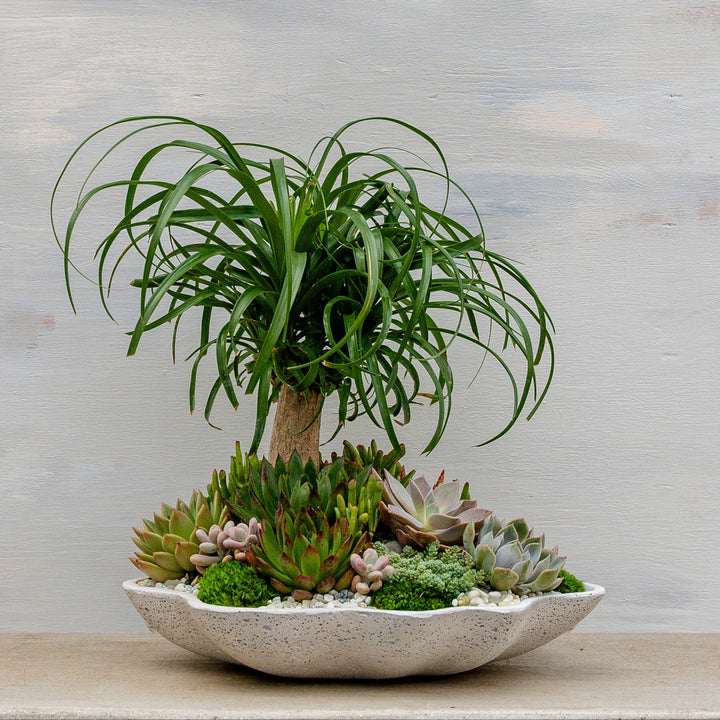 Desert Oasis Arrangement