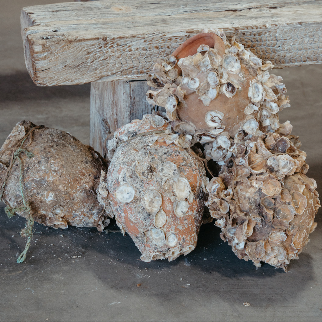 Oyster Harvest Pot