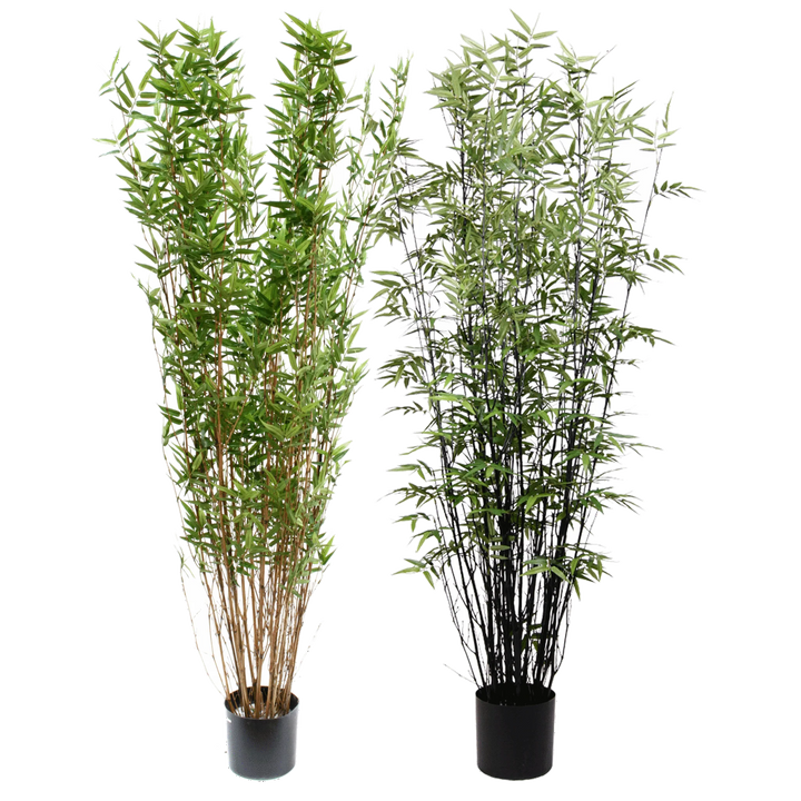 Bamboo Tree (Faux)