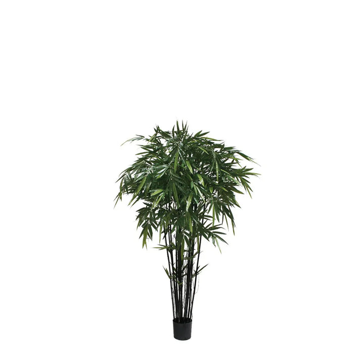 Bamboo Tree (Faux)