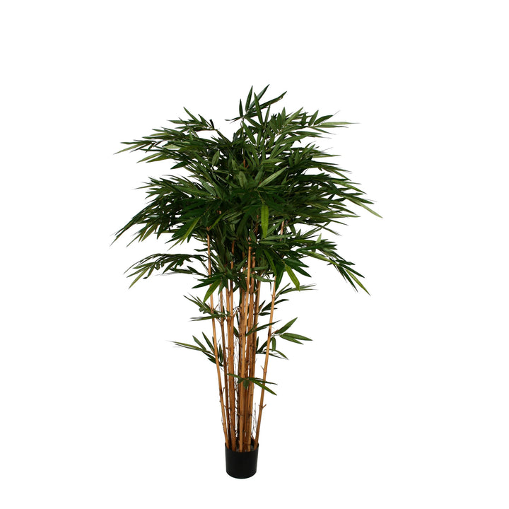 Bamboo Tree (Faux)