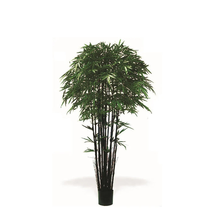 Bamboo Tree (Faux)