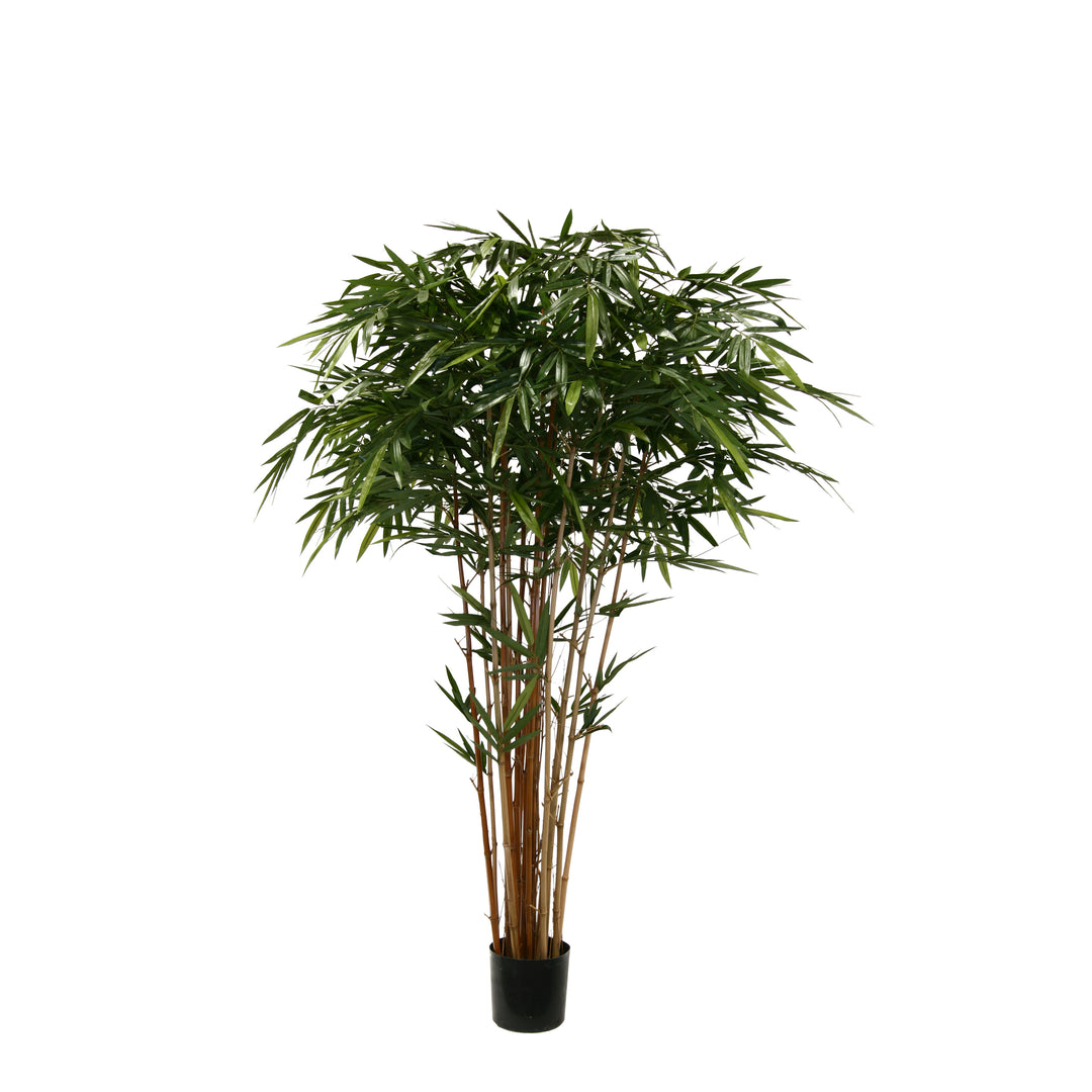 Bamboo Tree Natural 7 ft (Faux)