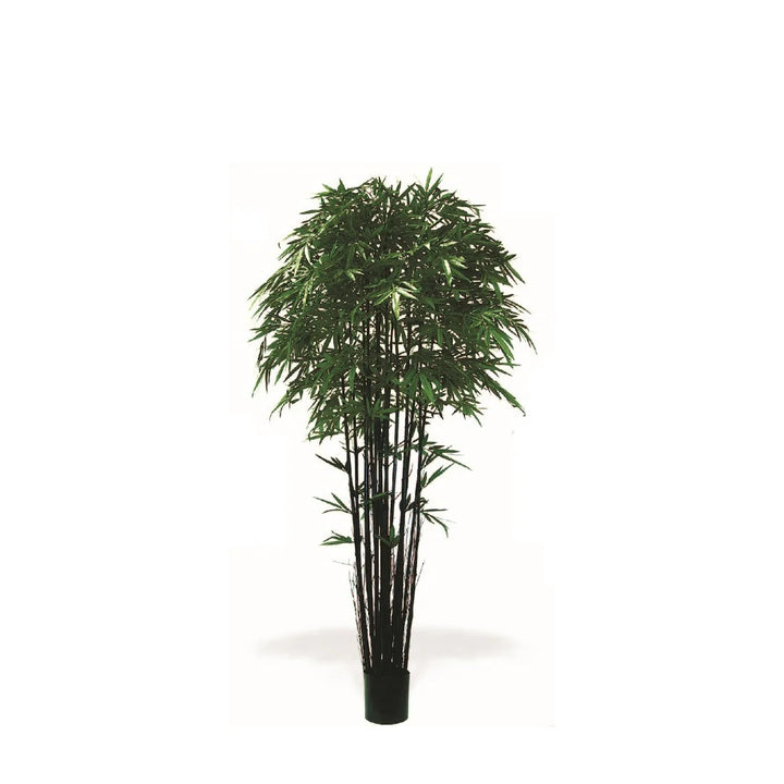 Bamboo Tree (Faux)