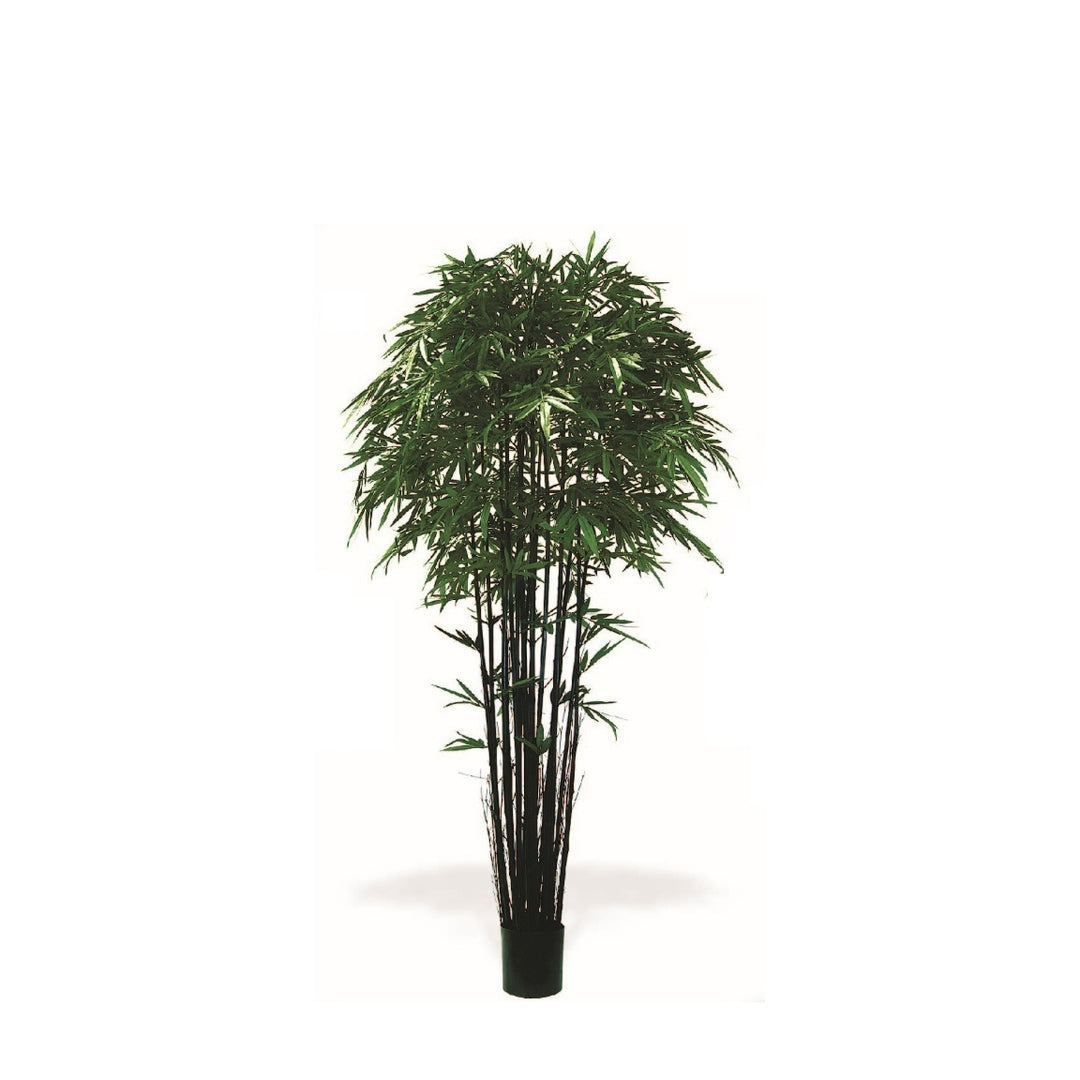 Bamboo Tree Black 8 ft (Faux)