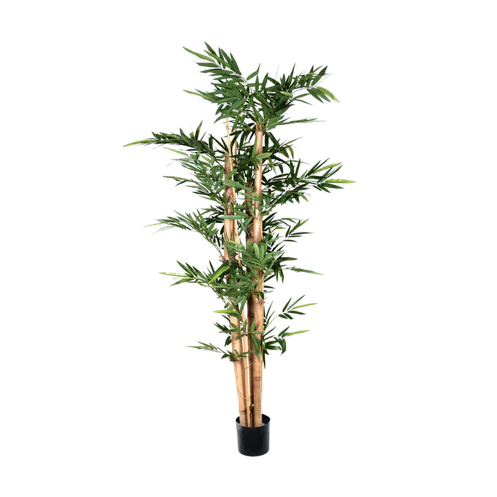 Bamboo - Giant Trunk (Faux)