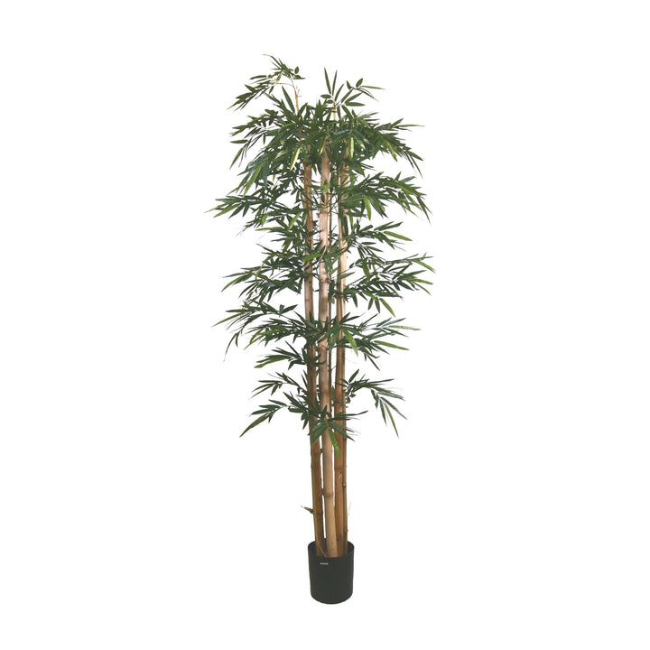 Bamboo - Giant Trunk (Faux)