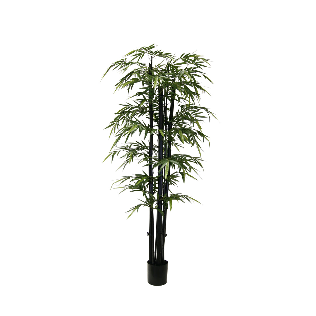 Giant Trunk Bamboo Black 8 ft (Faux)