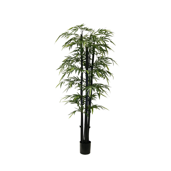 Bamboo - Giant Trunk (Faux)