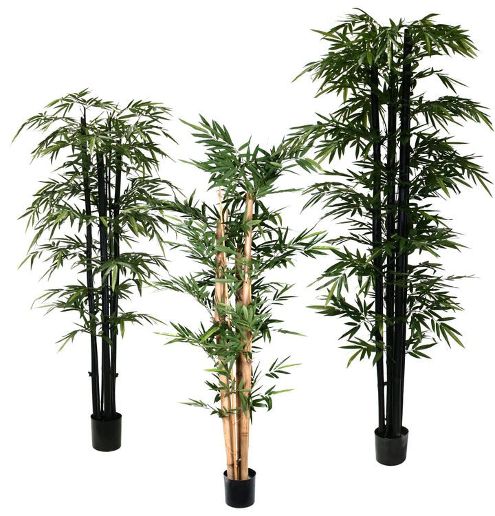 Bamboo - Giant Trunk (Faux)