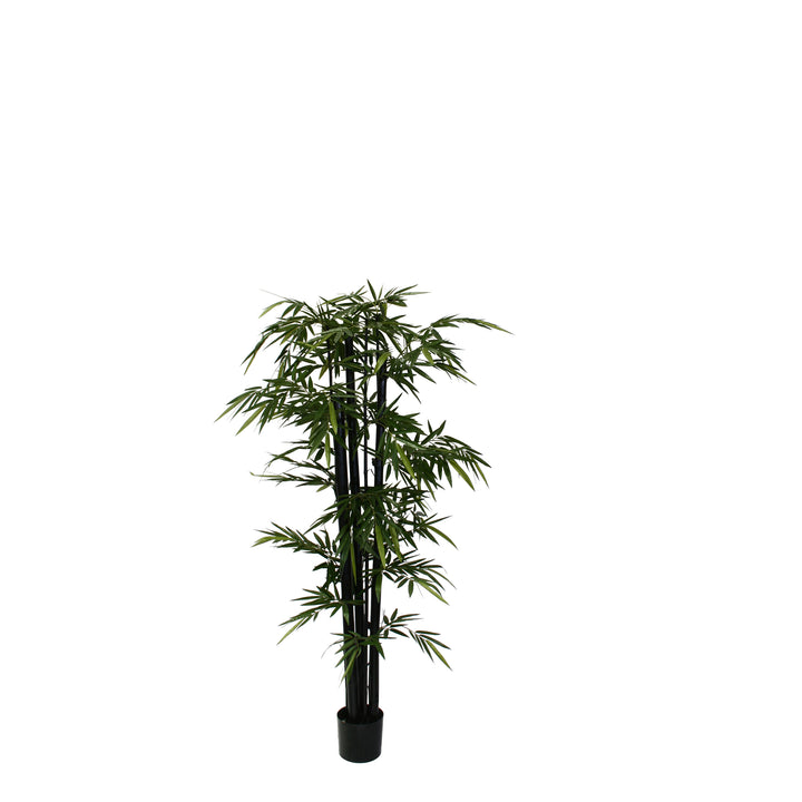 Bamboo - Giant Trunk (Faux)