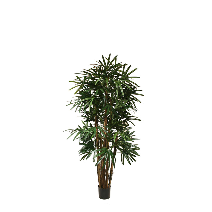 Rhapis Palm (Faux)