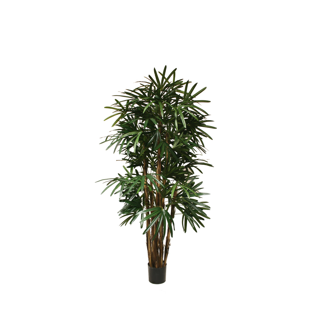 Rhapis Palm 6 ft (Faux)