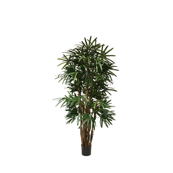 Rhapis Palm (Faux)