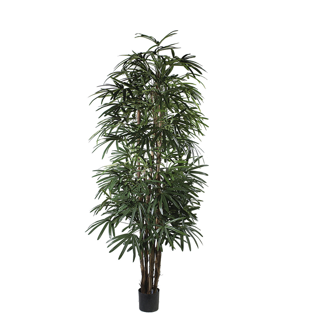 Rhapis Palm 8 ft (Faux)