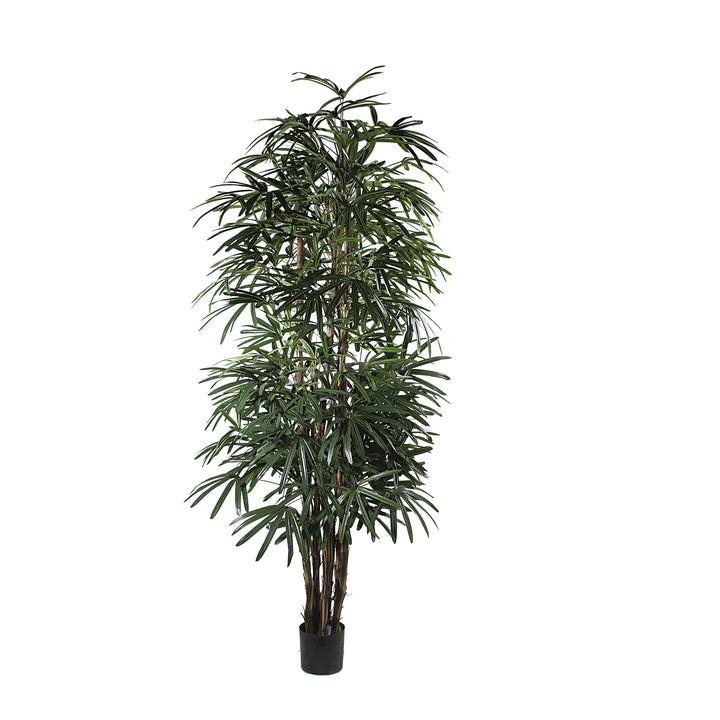 Rhapis Palm (Faux)
