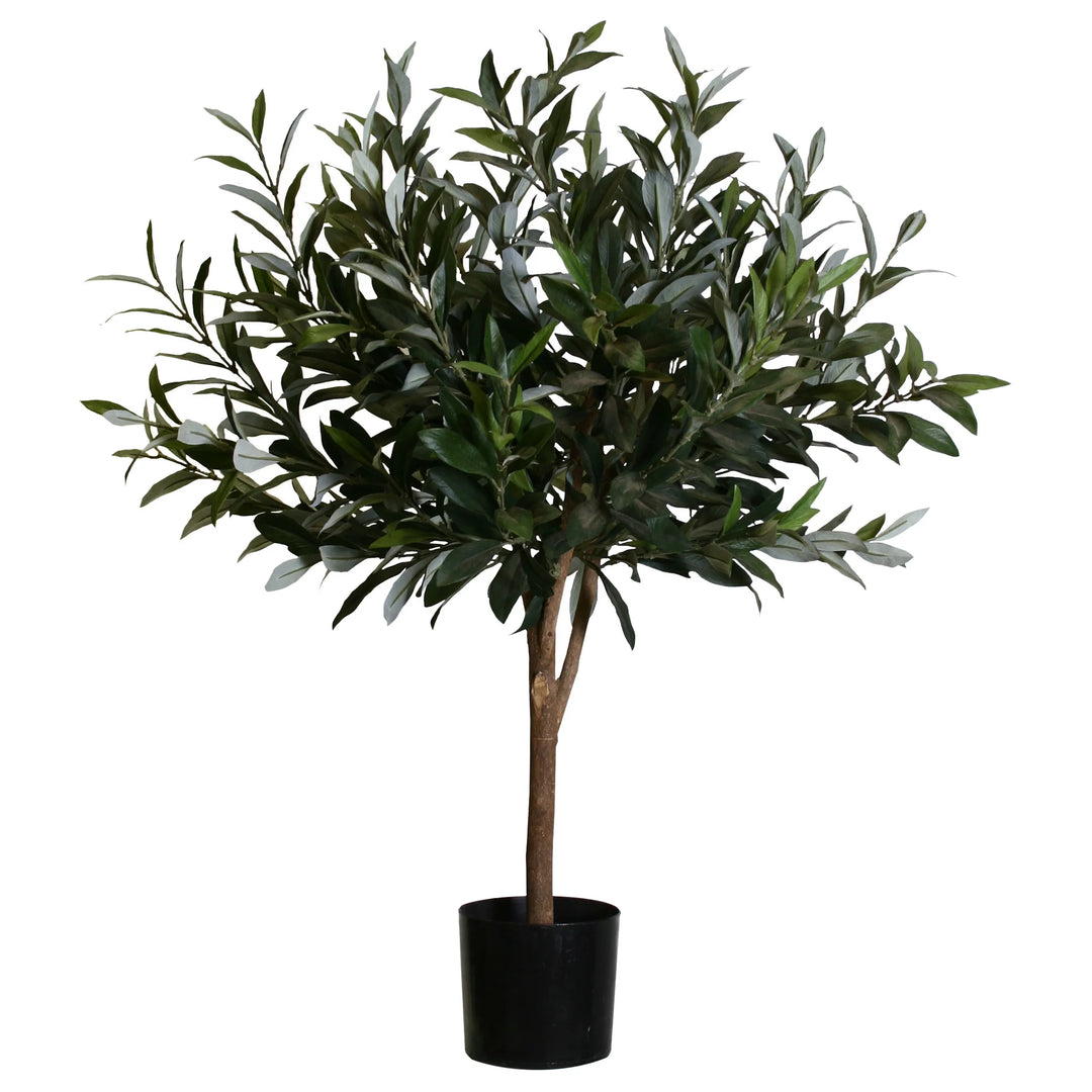 Olive Ball Tree (Faux)