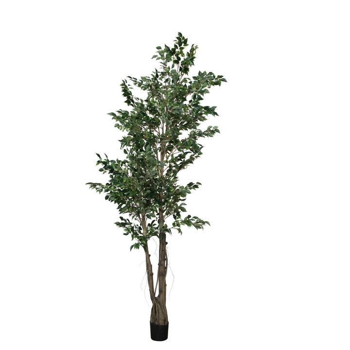 Ficus Tree Multi Trunk (Faux)