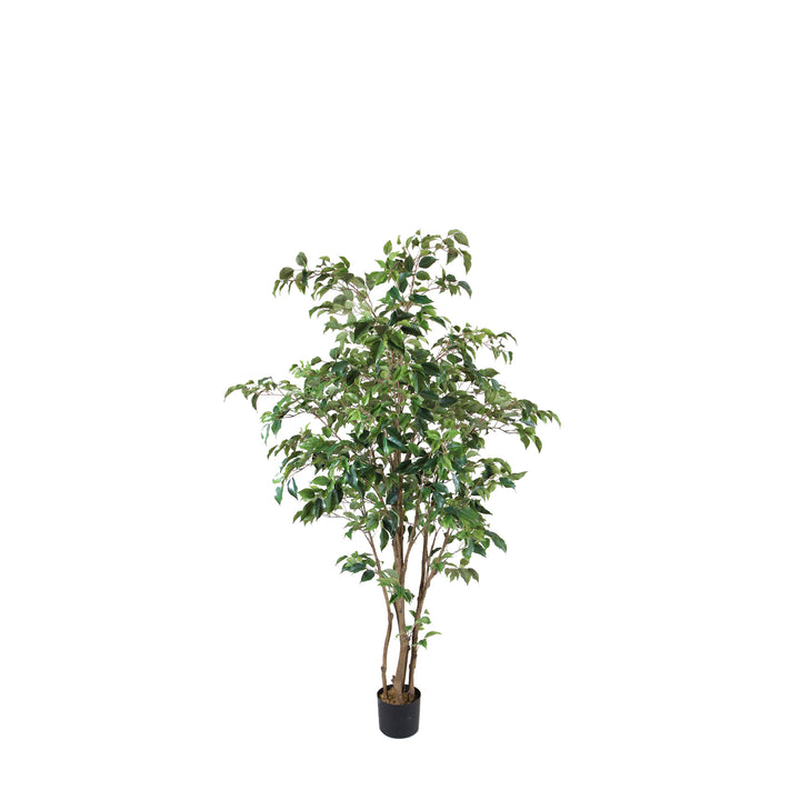 Ficus Tree Multi Trunk (Faux)