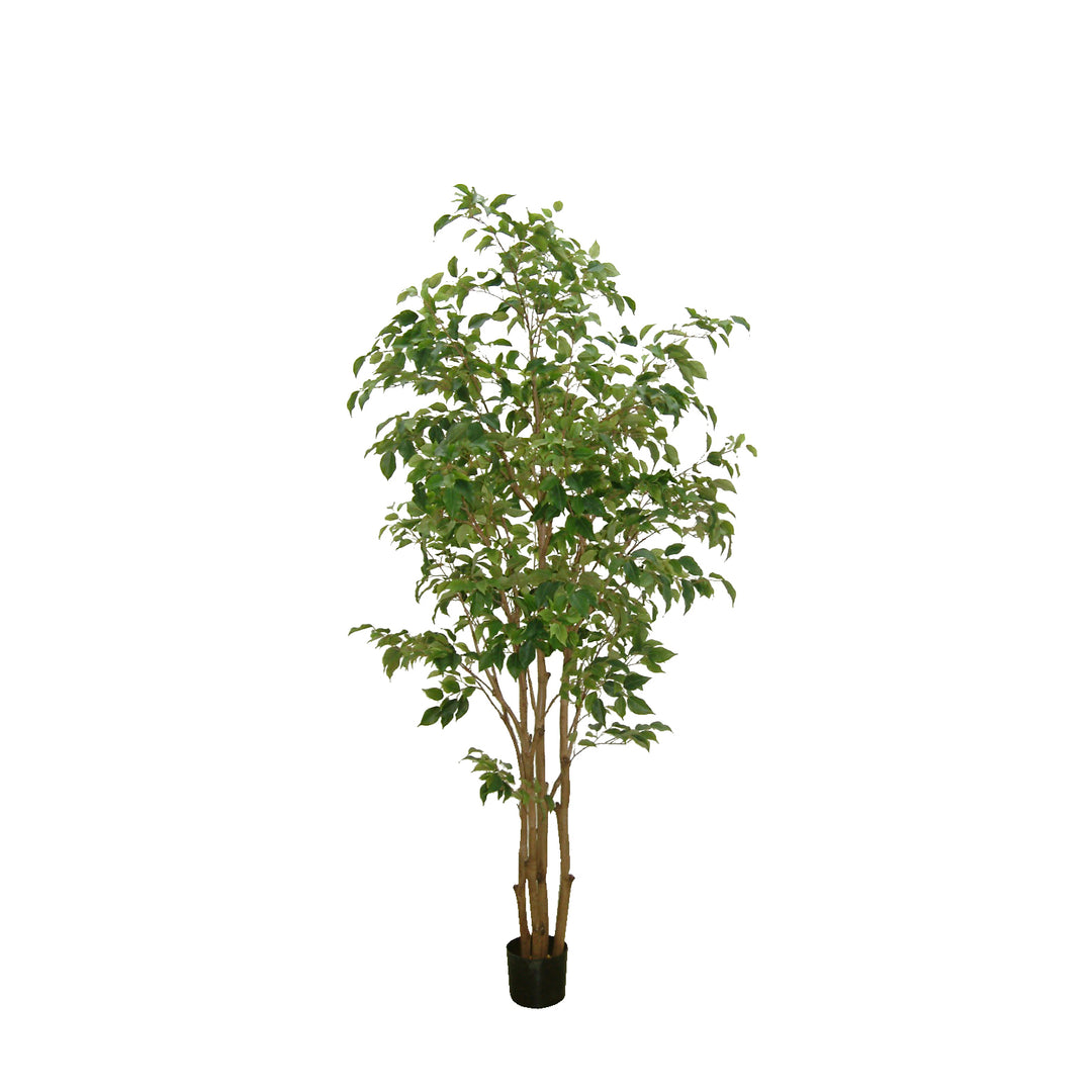 Ficus Tree Multi Trunk 8 ft (Faux)