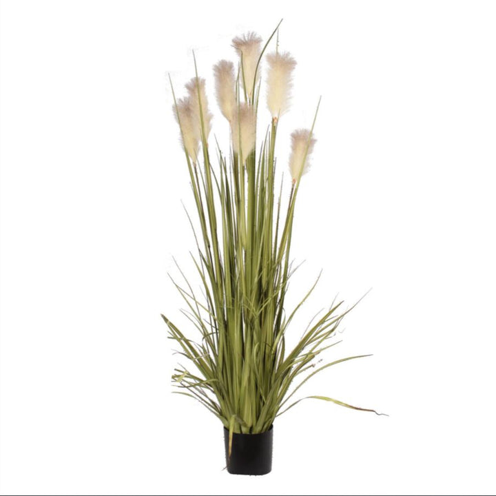 Reed Grass (Faux)