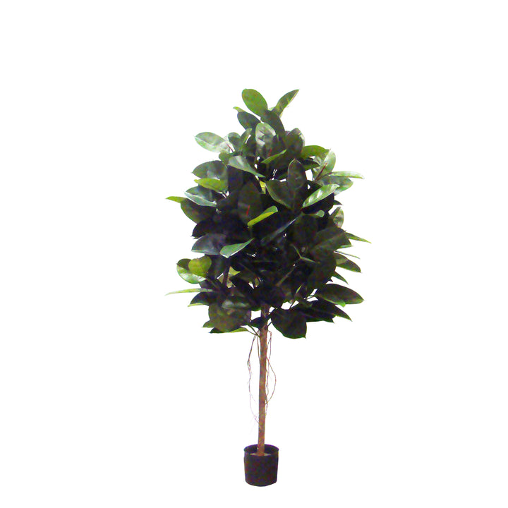 Ficus Elastica Rubber Tree (Faux)