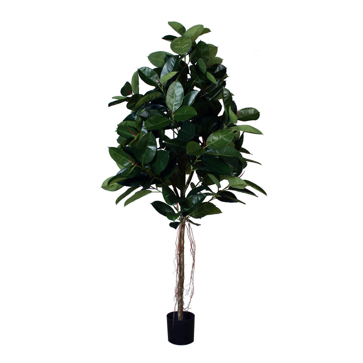 Ficus Elastica Rubber Tree (Faux)