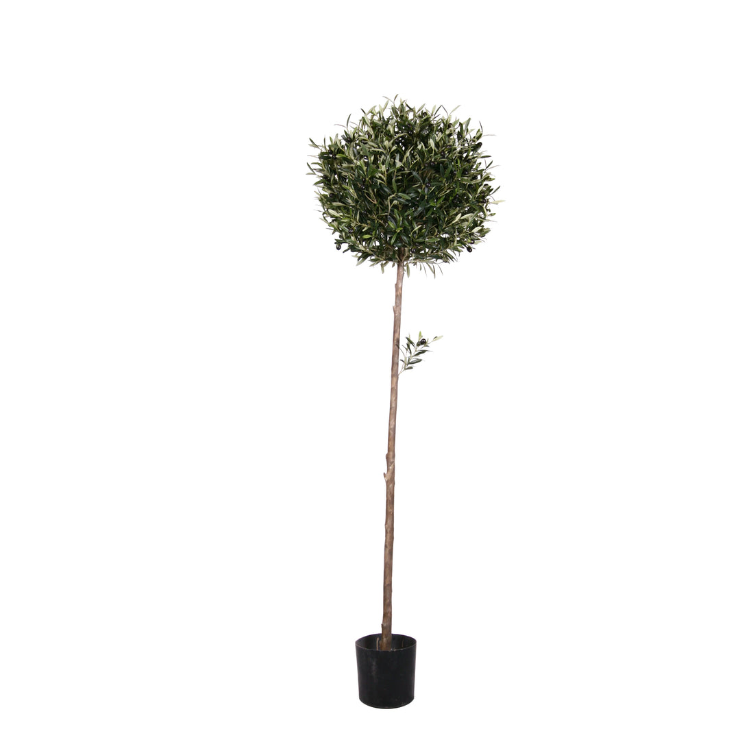 Olive Ball - California Olive (Faux)
