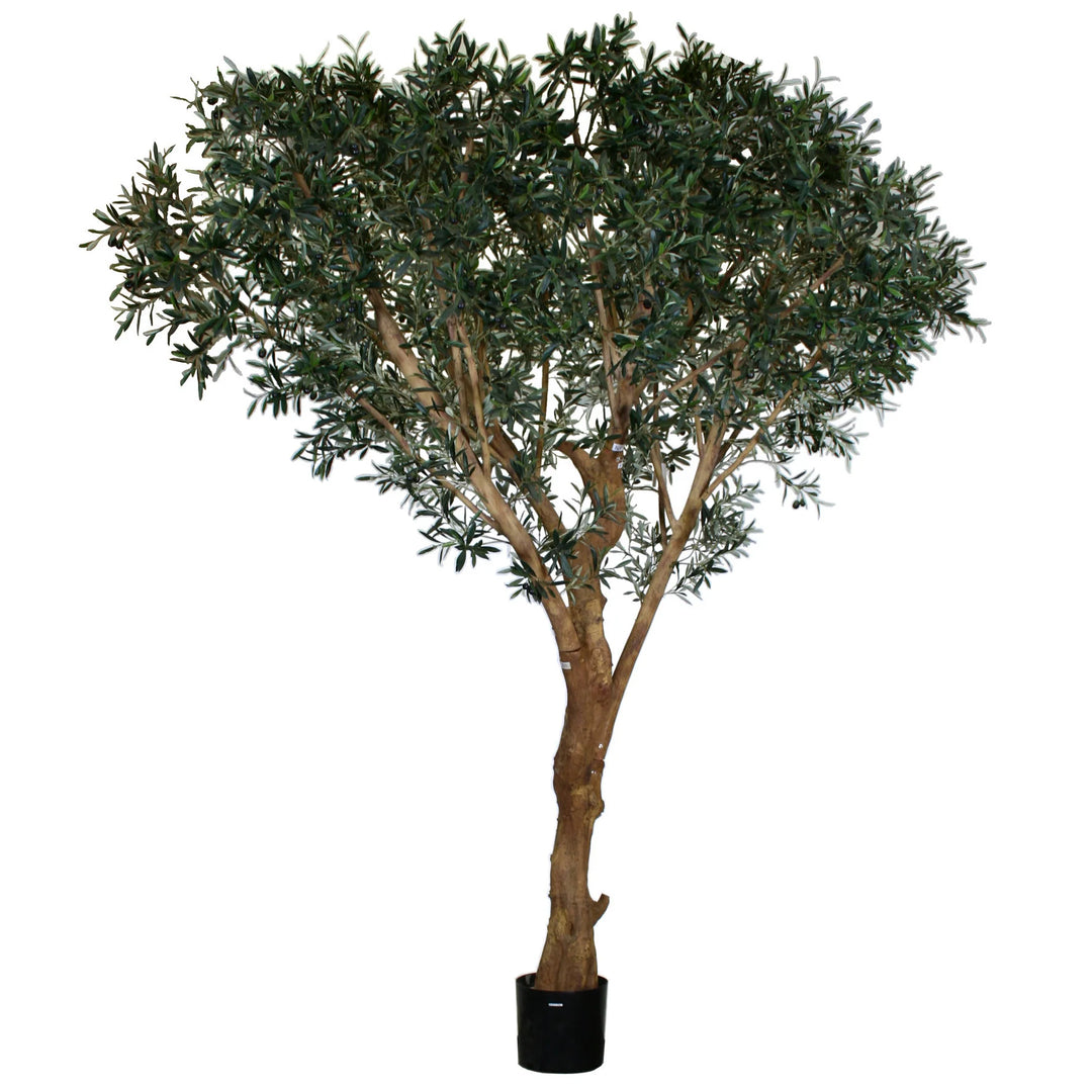 Olive Tree - California Olive (Faux)