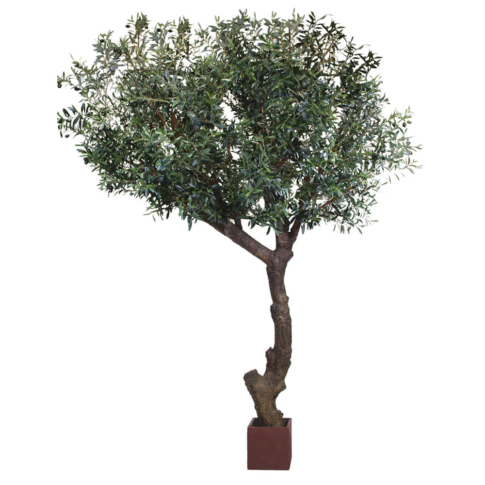 Italian Round Olive Tree (Faux)