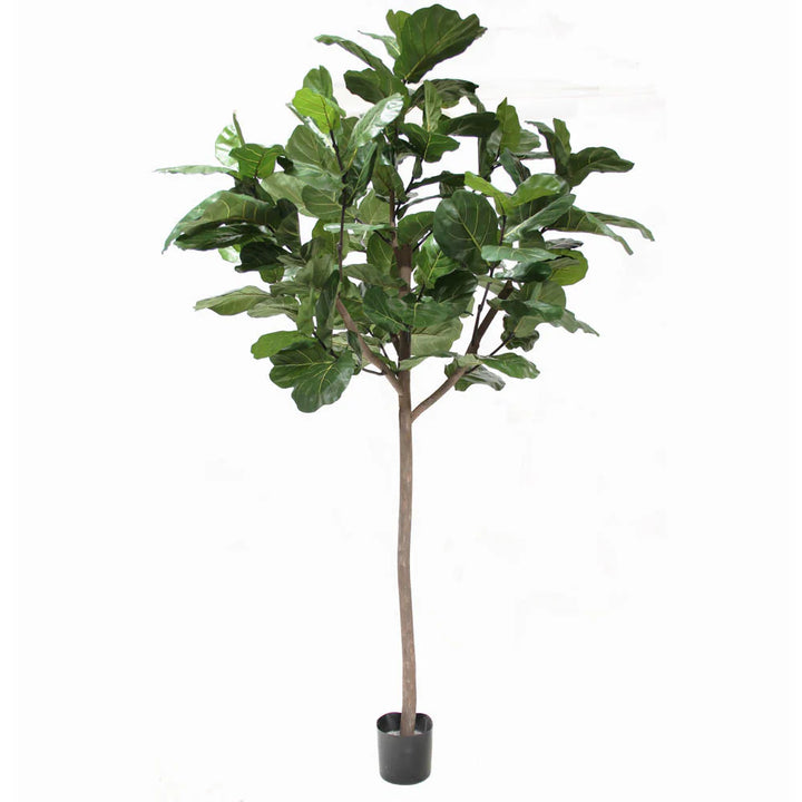 Fiddle Leaf Fig Tree - Giant Trunk (Faux)