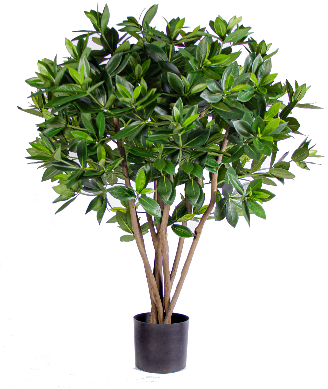Sweet Link Tree 5 ft (Faux)