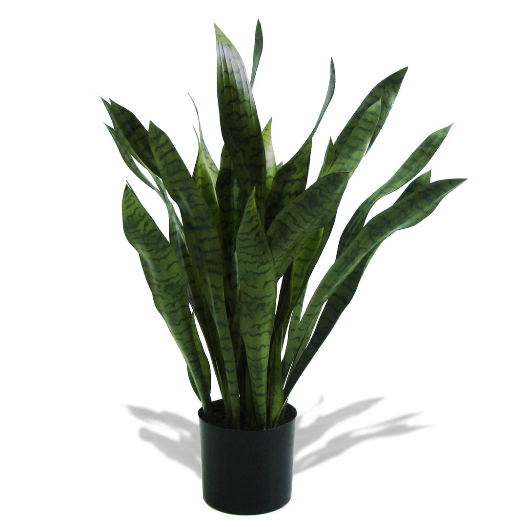 Sansevieria In Pot Medium (Faux)