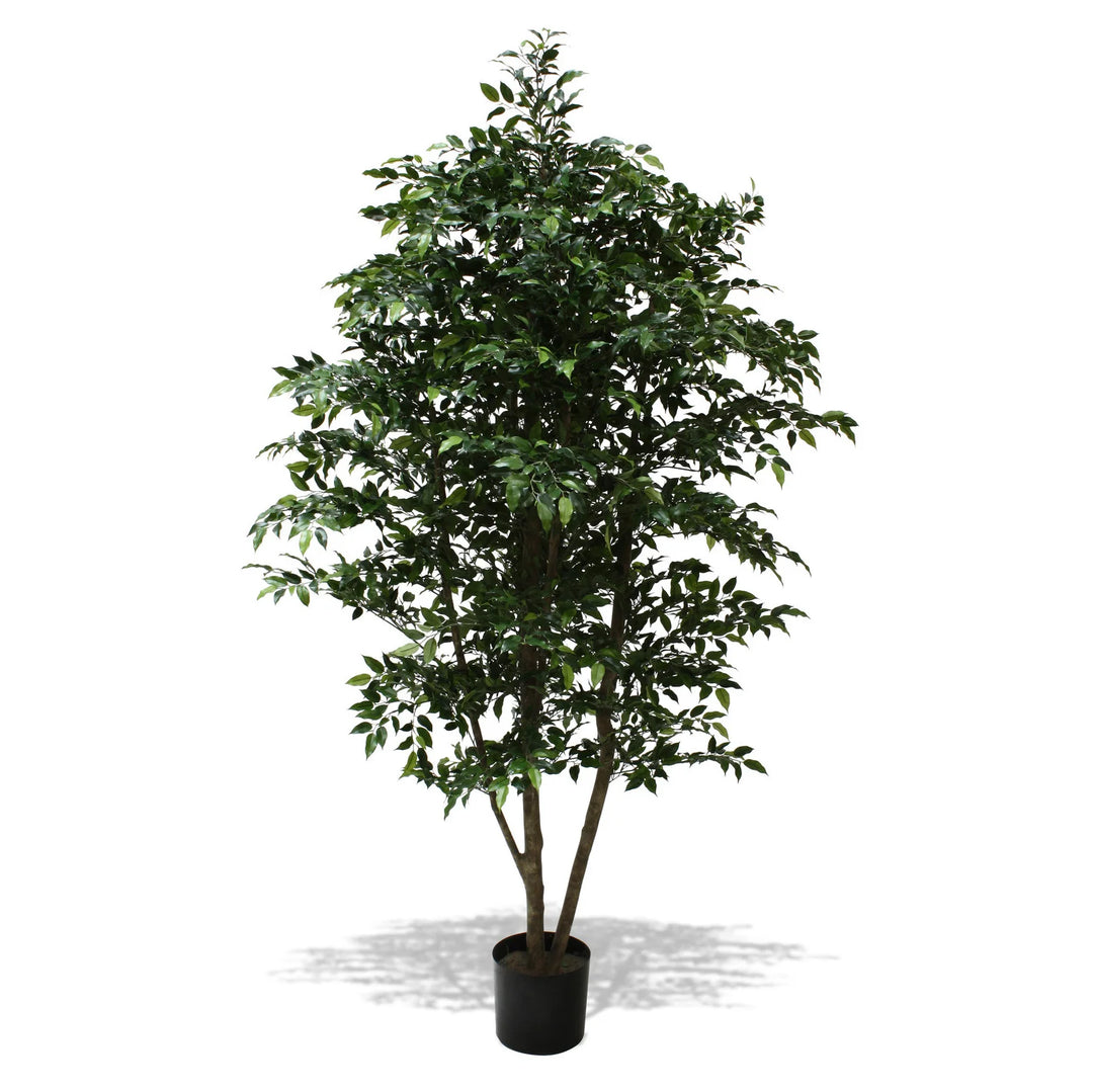 Small Leaf Ficus Tree Multi Trunk (Faux)