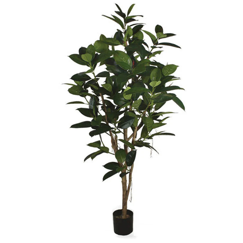 Ficus Elastica Multi Trunk Rubber Tree (Faux)