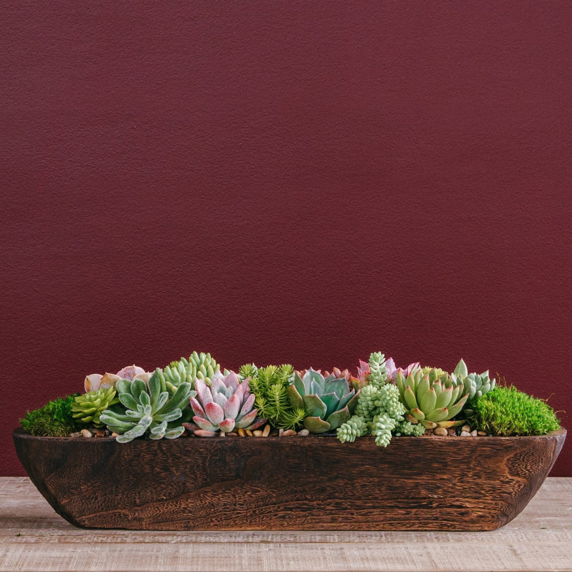 succulent plant centerpieces Succulent Centerpiece Arrangement – Rolling Greens