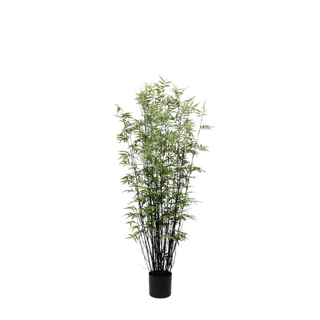 bamboo faux plant Bamboo Tree (Faux) 5 ft / Black