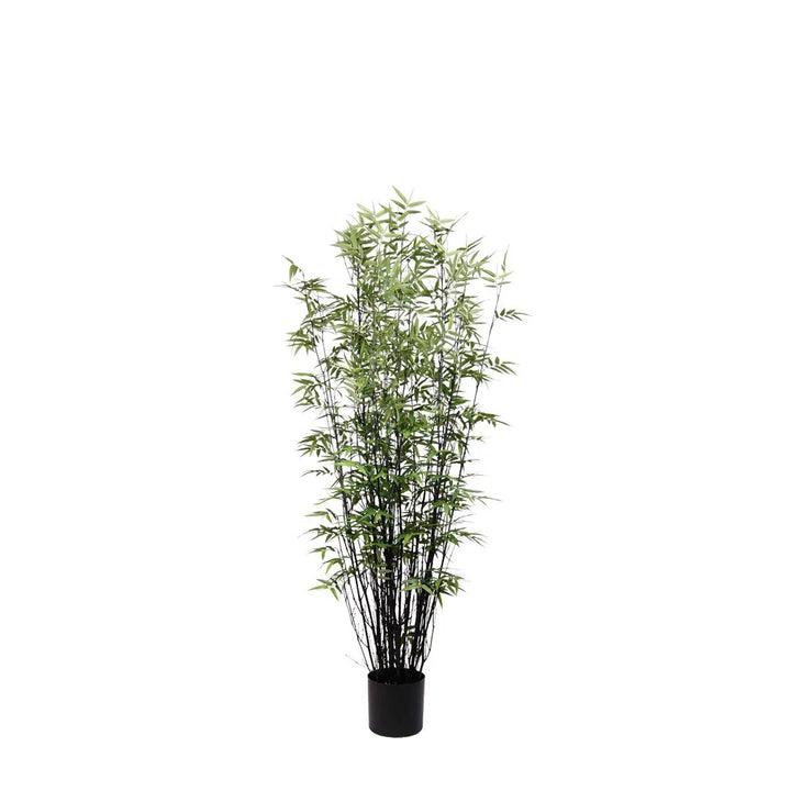 Bamboo Tree (Faux)