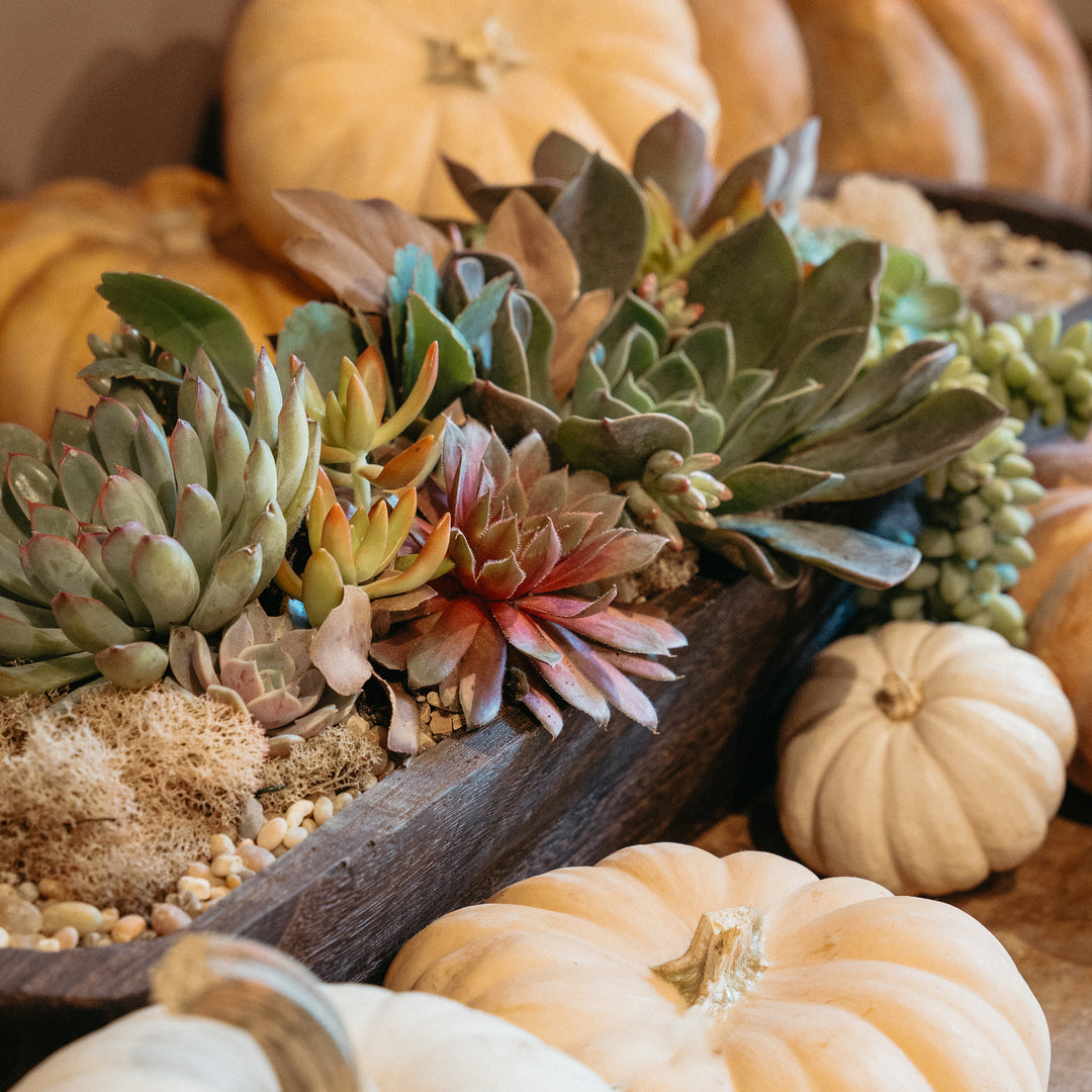 November 15 | Thanksgiving Centerpiece Arrangement Workshop - Studio City