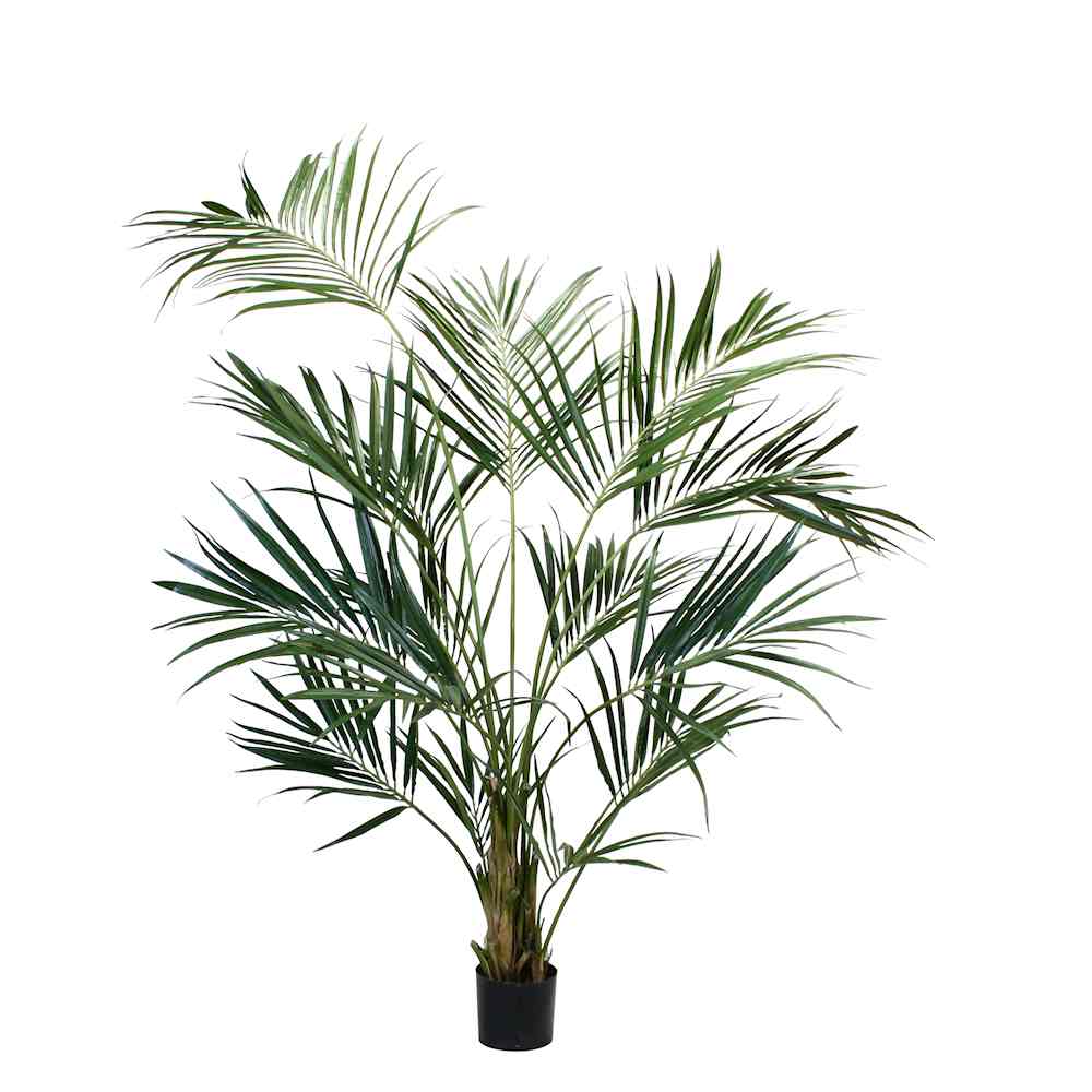 Kentia Palm (Faux) – Rolling Greens, image size:1000x1000