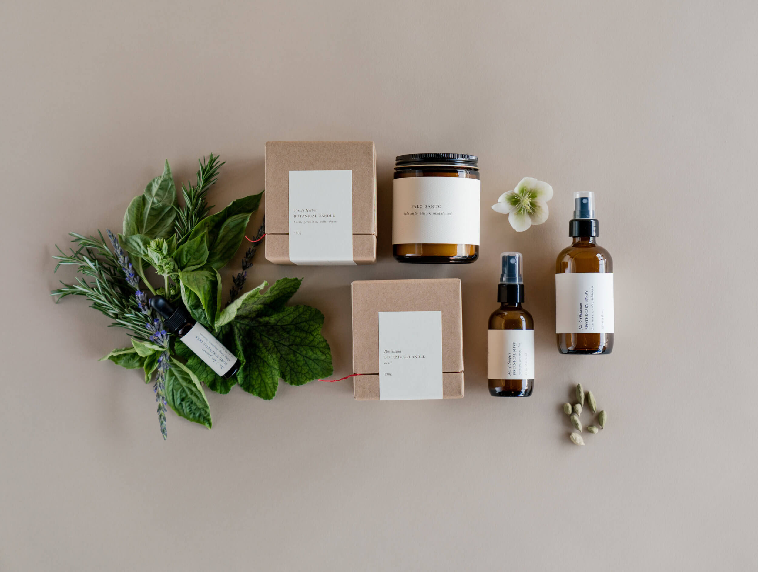 A Beverly Grove Exclusive: Barratt & Riley! – Rolling Greens