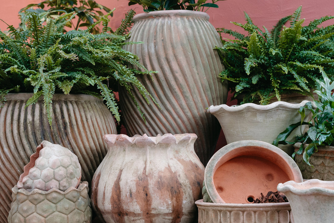 Spotlight Collection: Campo de’ Fiori