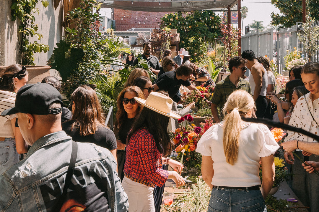 Get the Details for our Santa Monica Grand Opening