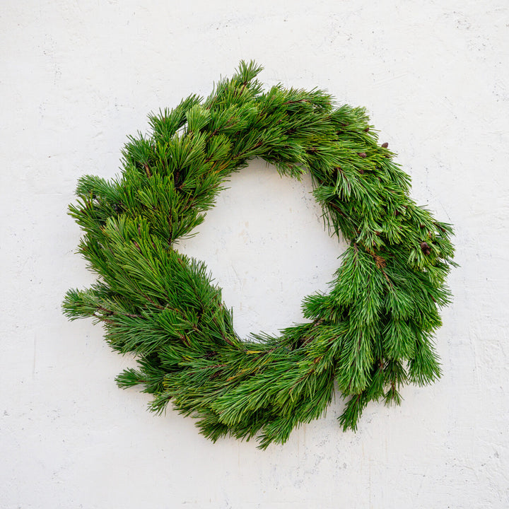 Wreath Shore Pine