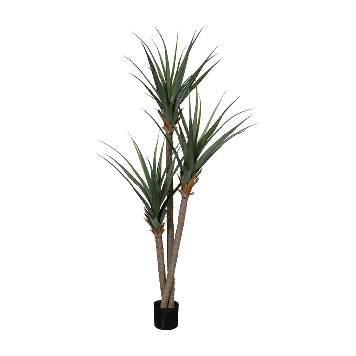 Pandanus Tree (Faux)