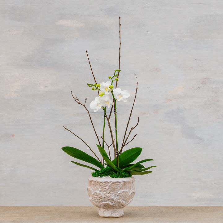 Pretty Petals Vessel with Orchids