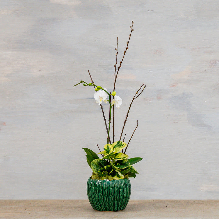 Emerald Leaf and Orchid Arrangement