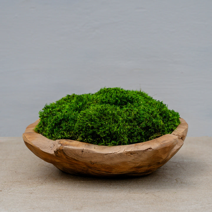 Organic Teak Bowl with Statement Moss